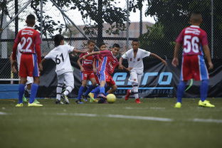 乐鱼电竞· (中国)官方网站-中国足球协会召开年度总结大会,中国足球协会会长是谁